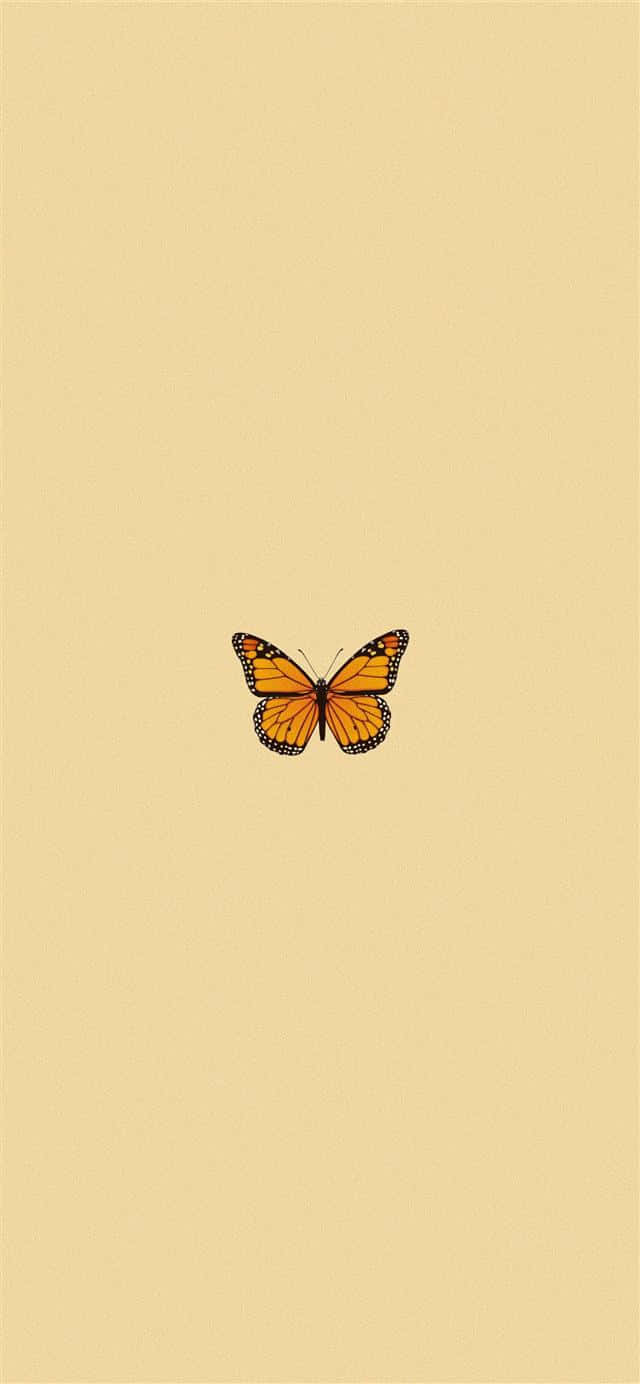 A Butterfly Is Sitting On A Beige Background Wallpaper