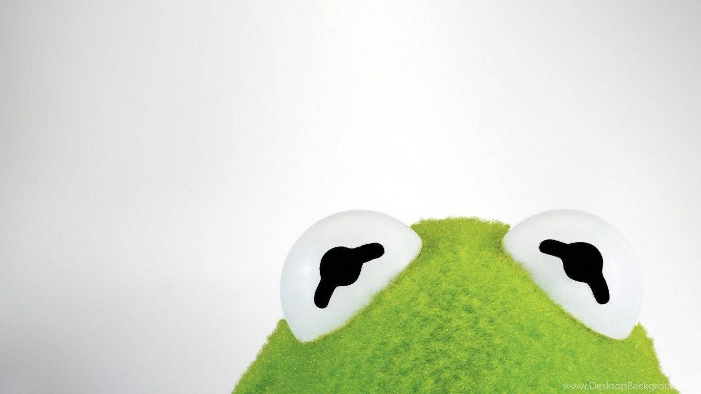 A Close-up Look At Kermit The Frog Wallpaper