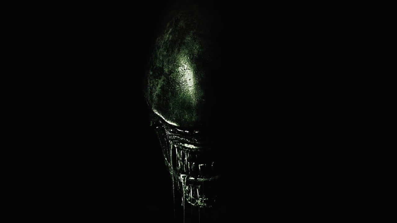 A Dark And Mysterious Alien 4k Wallpaper Wallpaper