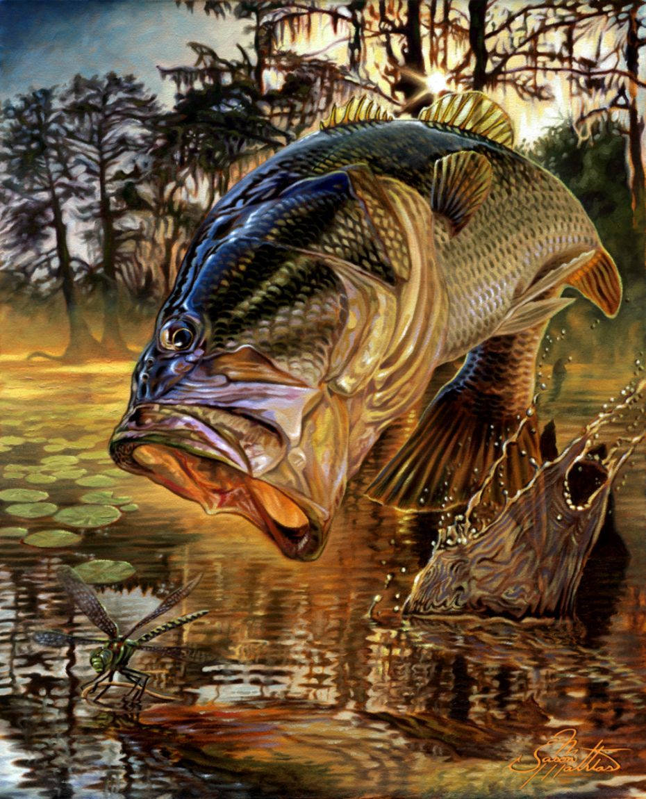 A Fisherman Humbly Enjoying The Tranquil Beauty Of Bass Fishing Wallpaper