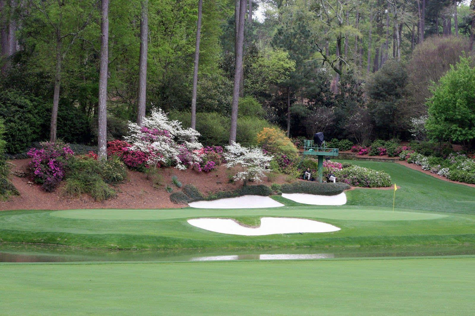 A Golf Course With Trees And Bushes Wallpaper