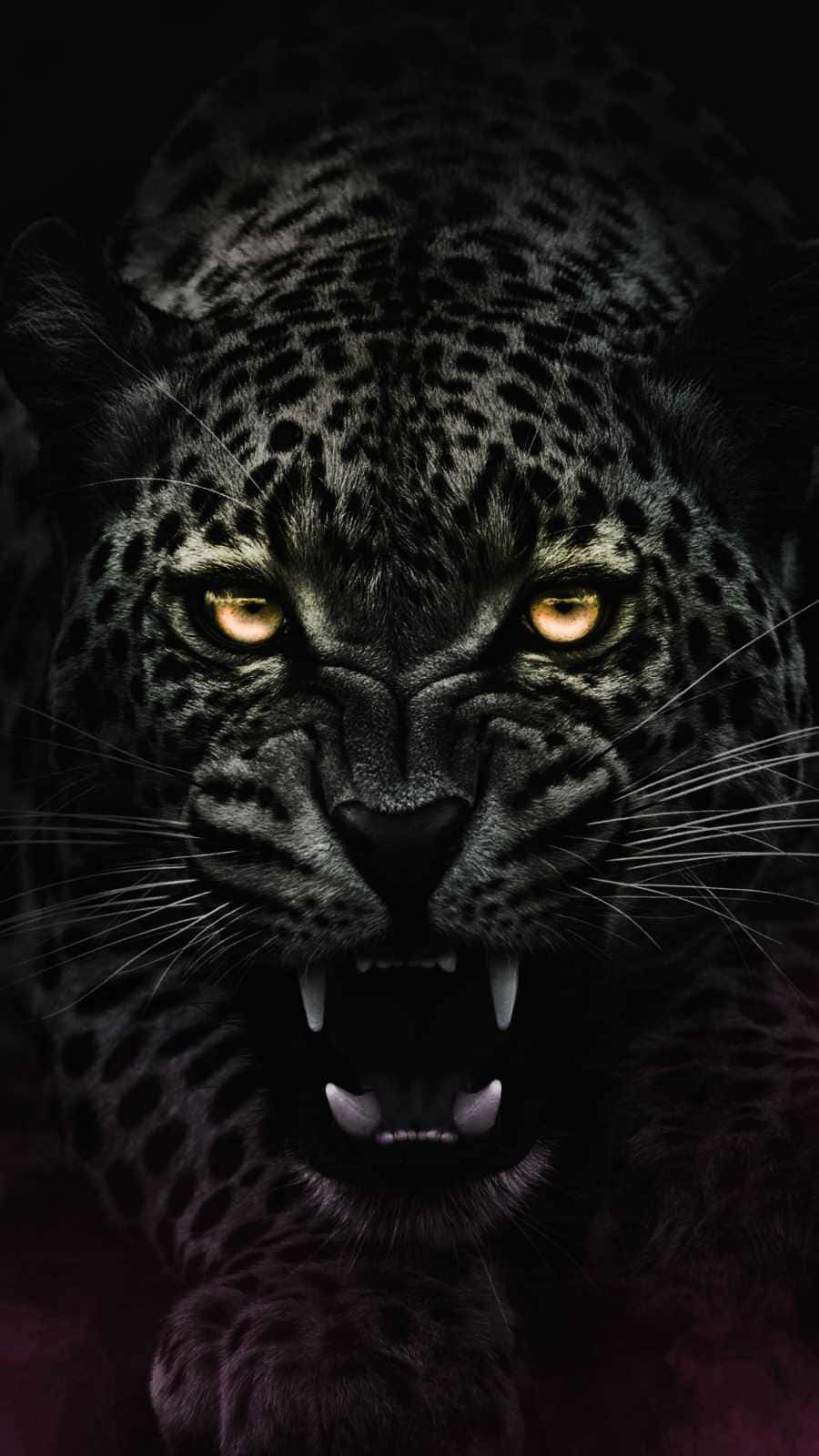 A Gorgeous Black Jaguar Ready To Pounce Wallpaper