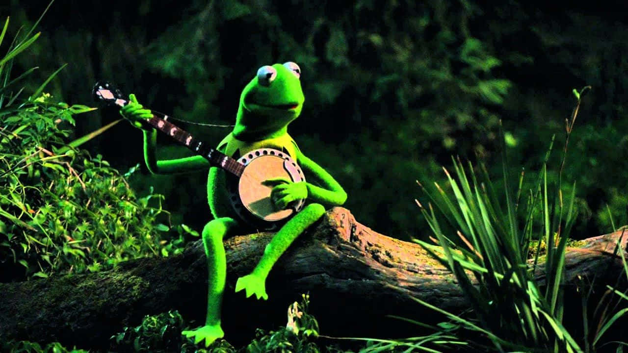 A Green Frog Is Playing A Banjo On A Log Wallpaper