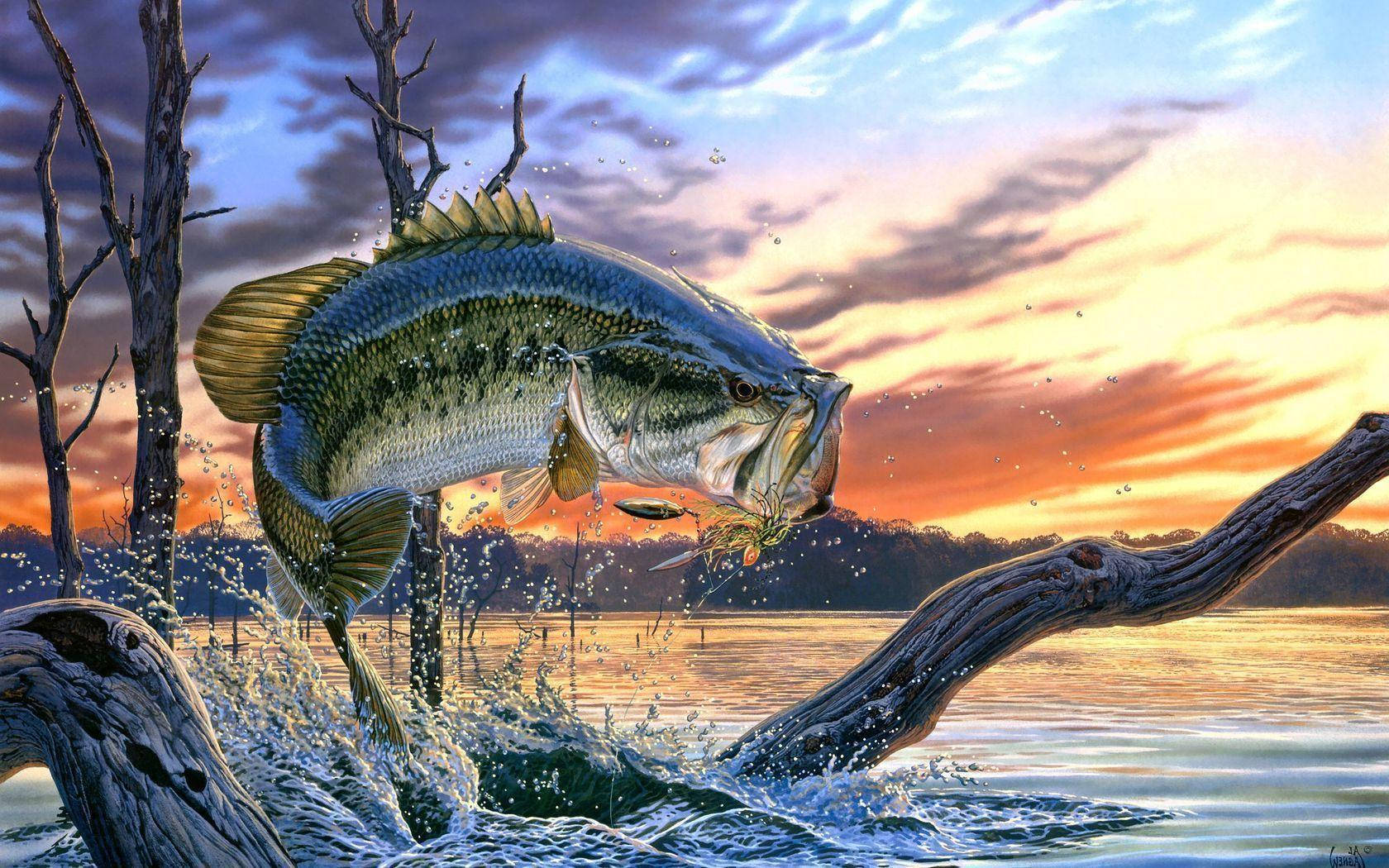 A Largemouth Bass On A Sunset Wallpaper