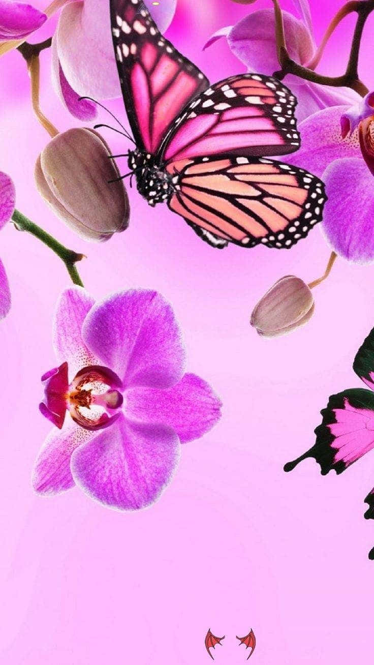 A Magical Pink Glitter Butterfly Adorns This Wallpaper. Wallpaper