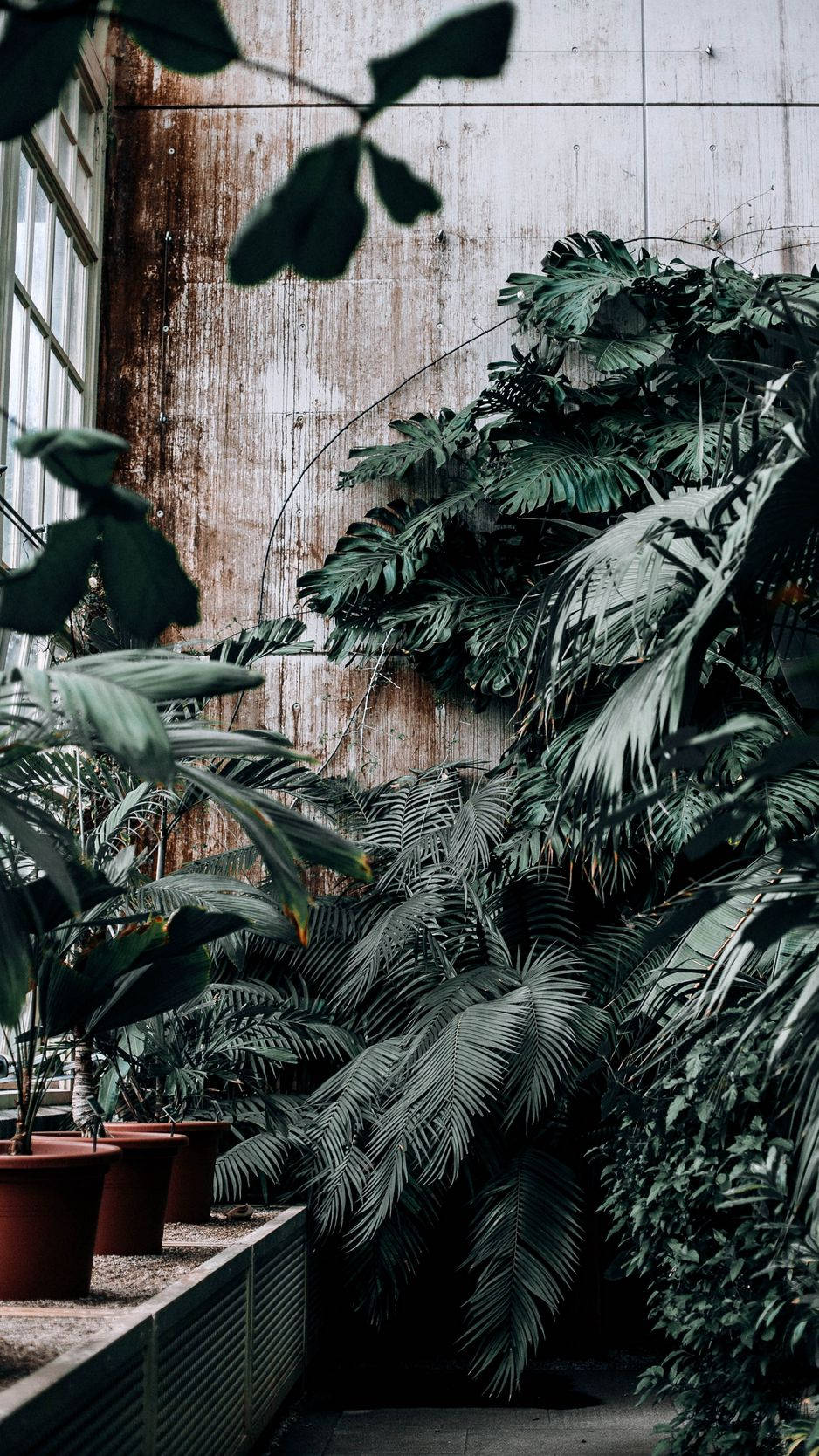 A Man Is Sitting In A Room With Plants Wallpaper