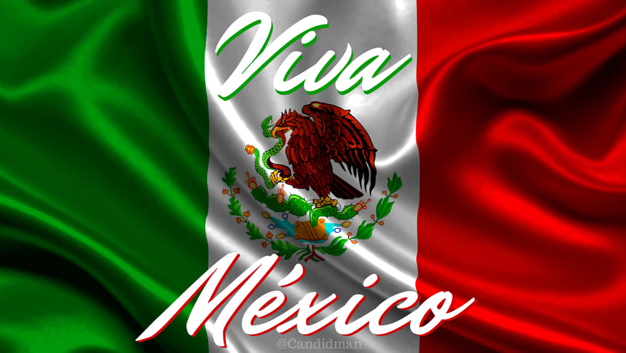 A Mexican Flag With The Words Viva Mexico Wallpaper