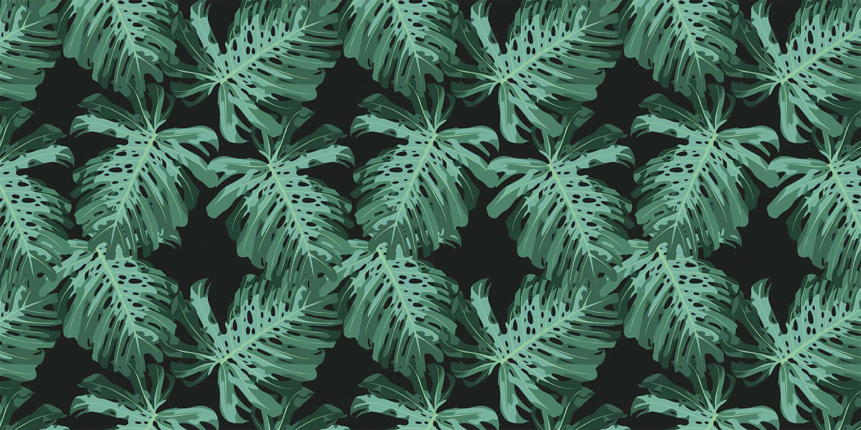 A Natural Oasis With A Tropical Vibe Of Aesthetic Palm Leaves. Wallpaper