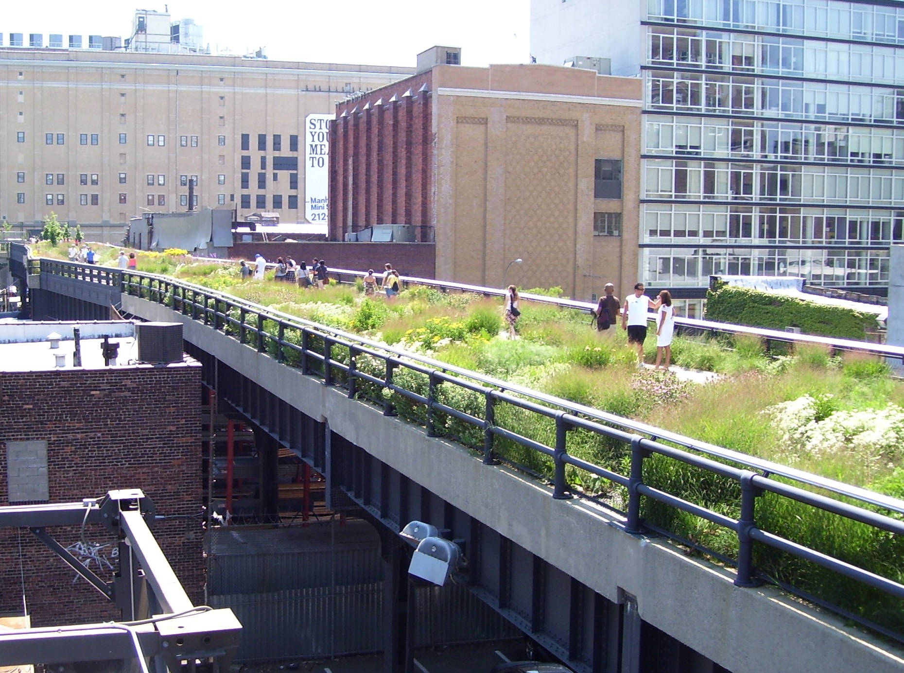 A Peaceful Day At The High Line, New York Wallpaper