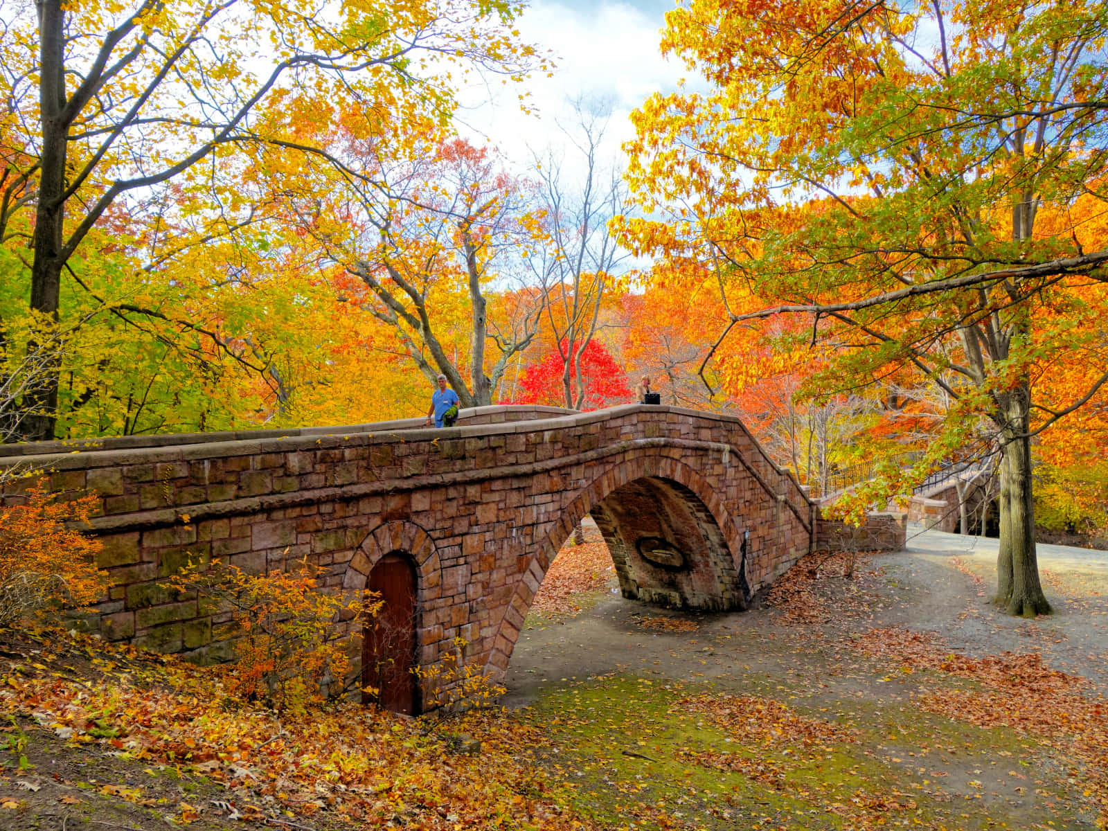 A Peaceful New England Autumn Forest In Blazing Colors. Wallpaper