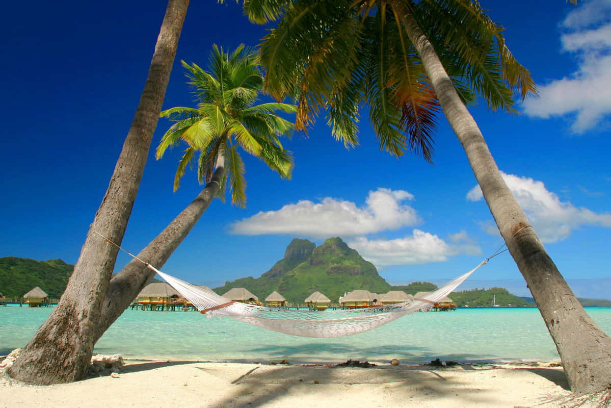 A Picture Perfect Caribbean Beach Dotted With Lush Palm Trees. Wallpaper