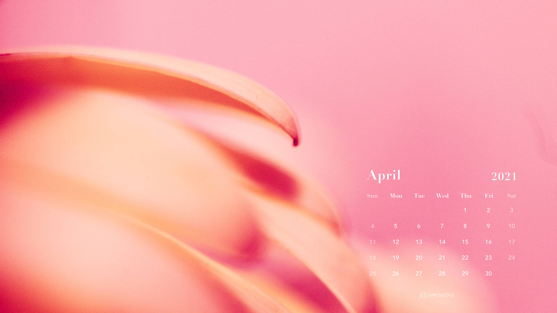 A Pink Calendar With A Flower In The Background Wallpaper