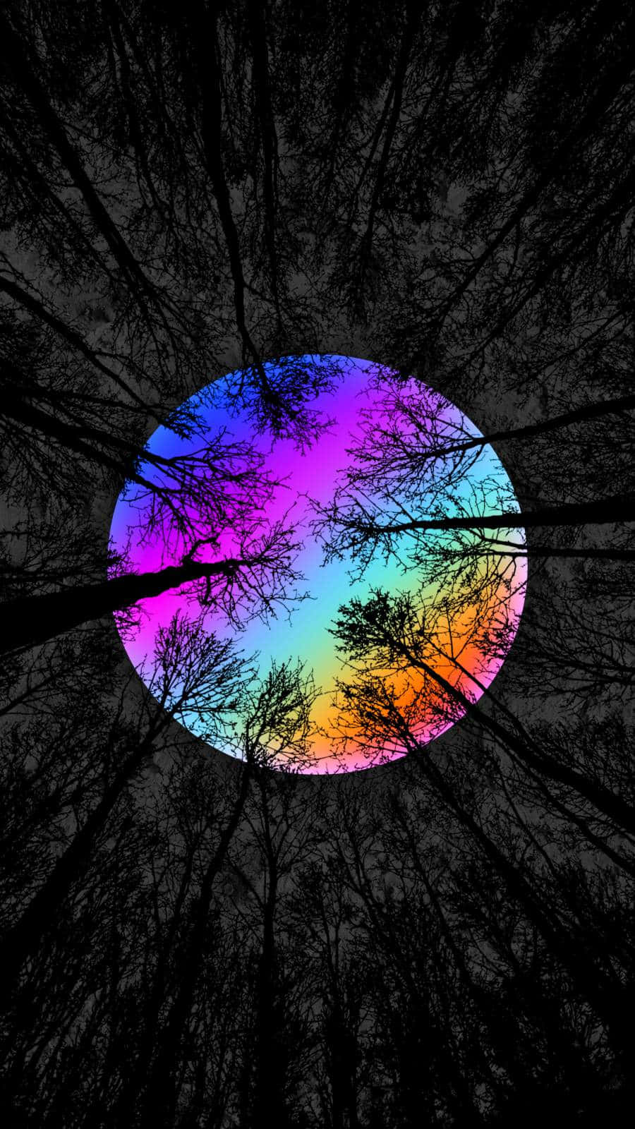 A Rainbow Colored Circle In The Middle Of A Forest Wallpaper