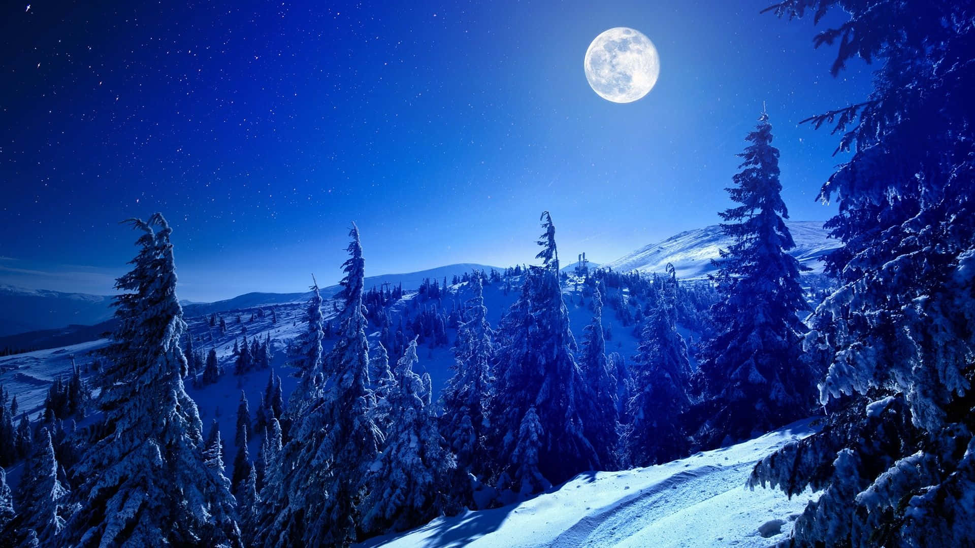 A Reflection Of Nature's Beauty In A Winter Forest' Wallpaper