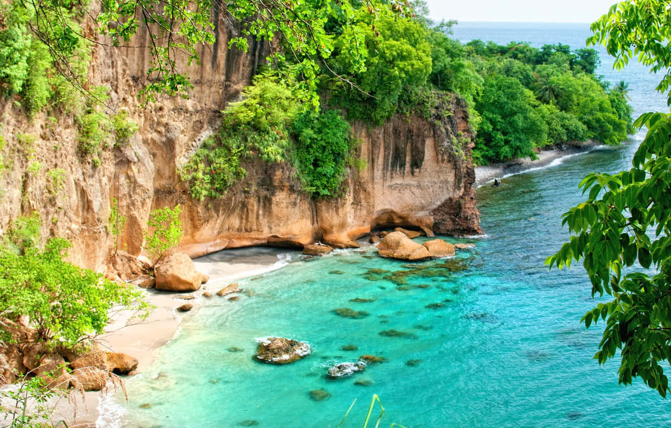 A Rocky Beach With Clear Water And Green Trees Wallpaper