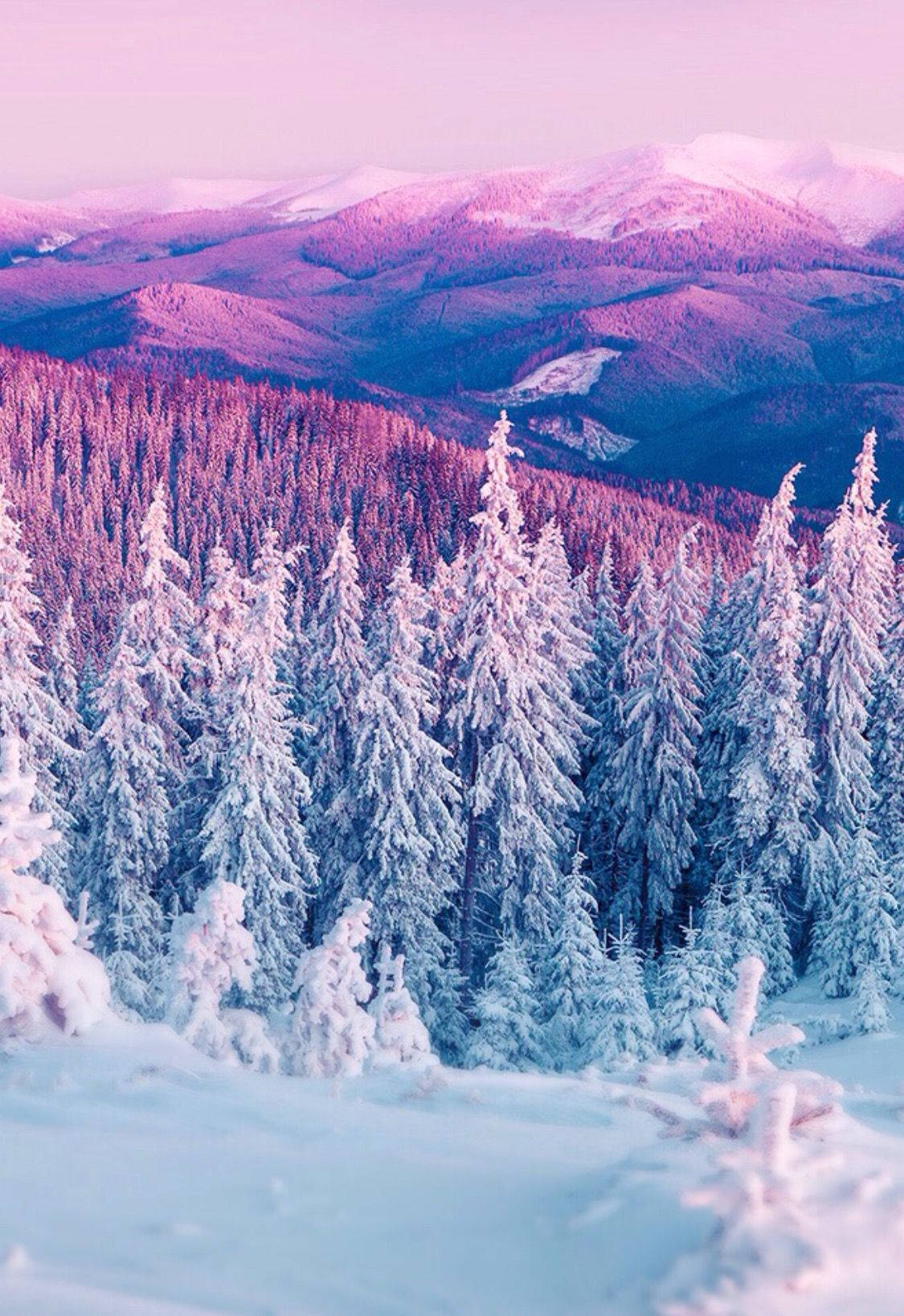 A Snow Covered Mountain With A Pink Sky Wallpaper