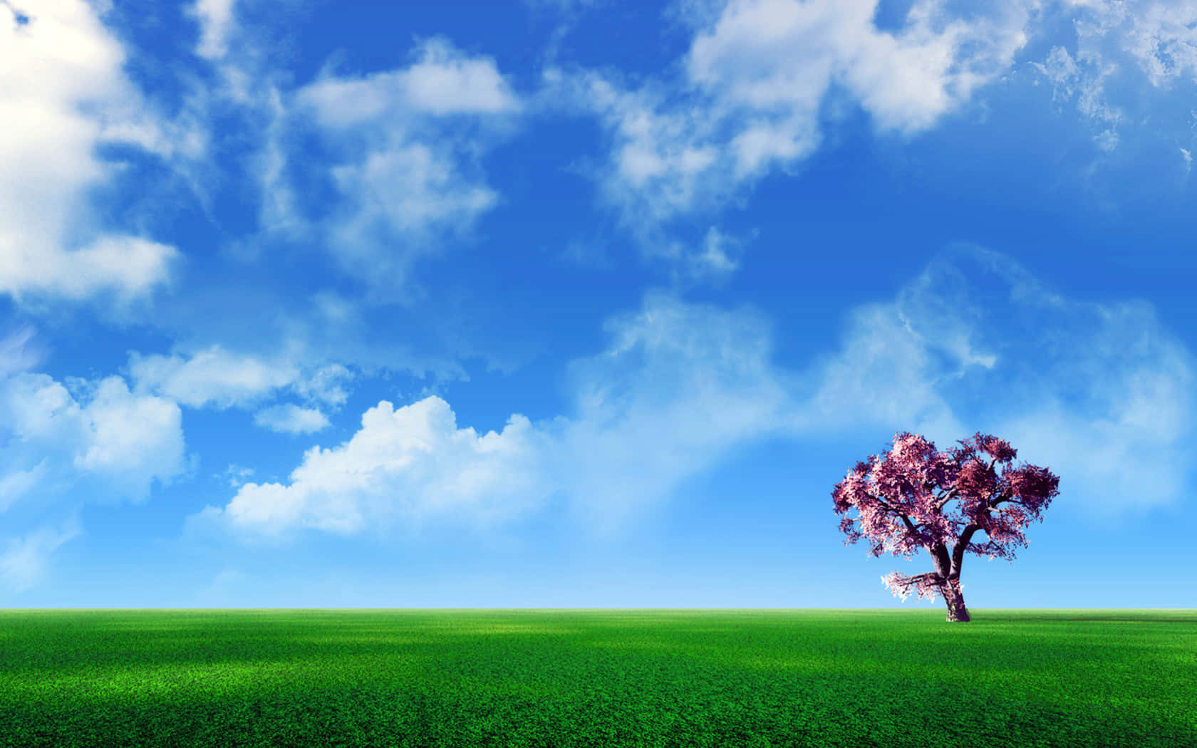 A Summer's Day Among Trees And Tall Grass Wallpaper