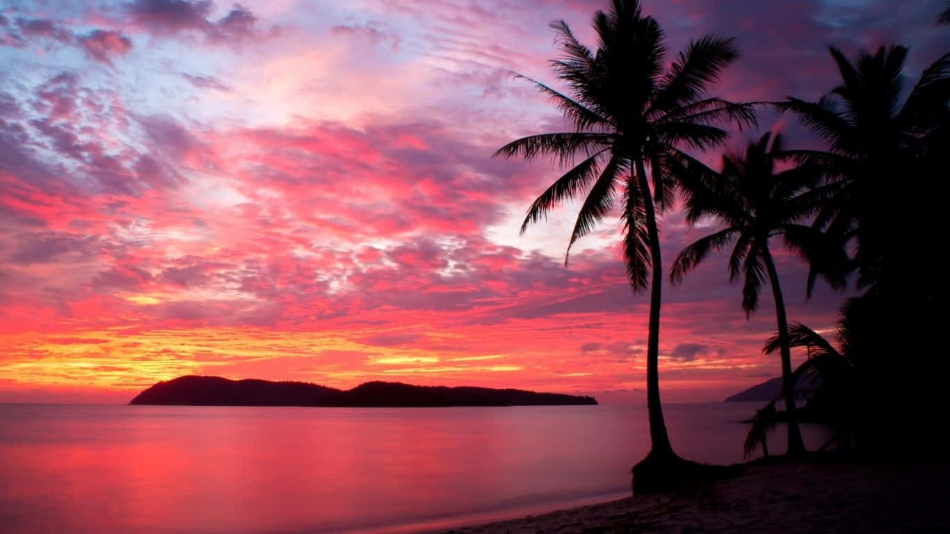 A Sunset With Palm Trees And A Colorful Sky Wallpaper