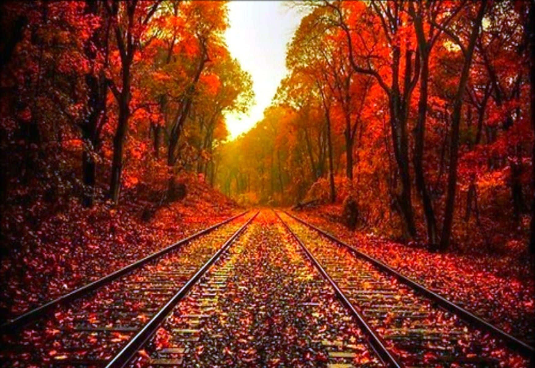 A Train Track In The Autumn Metal Print Wallpaper