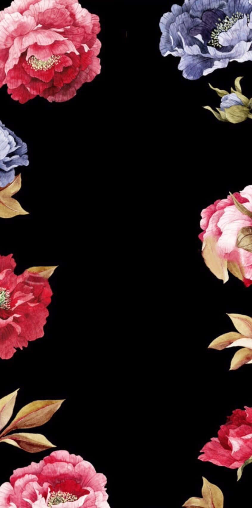 A Vibrant Array Of Black And Pink Floral Wallpaper