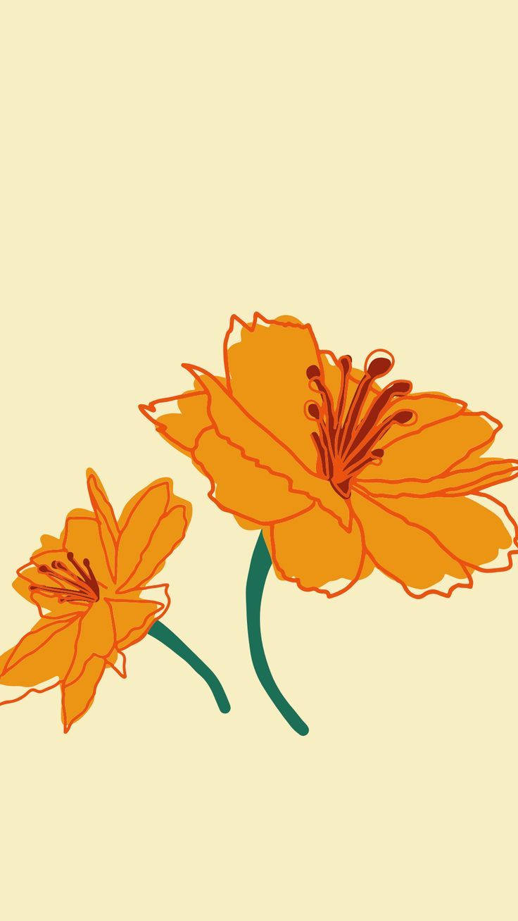 A Vibrant Display Of Exotic Orange Flowers In Full Bloom. Wallpaper