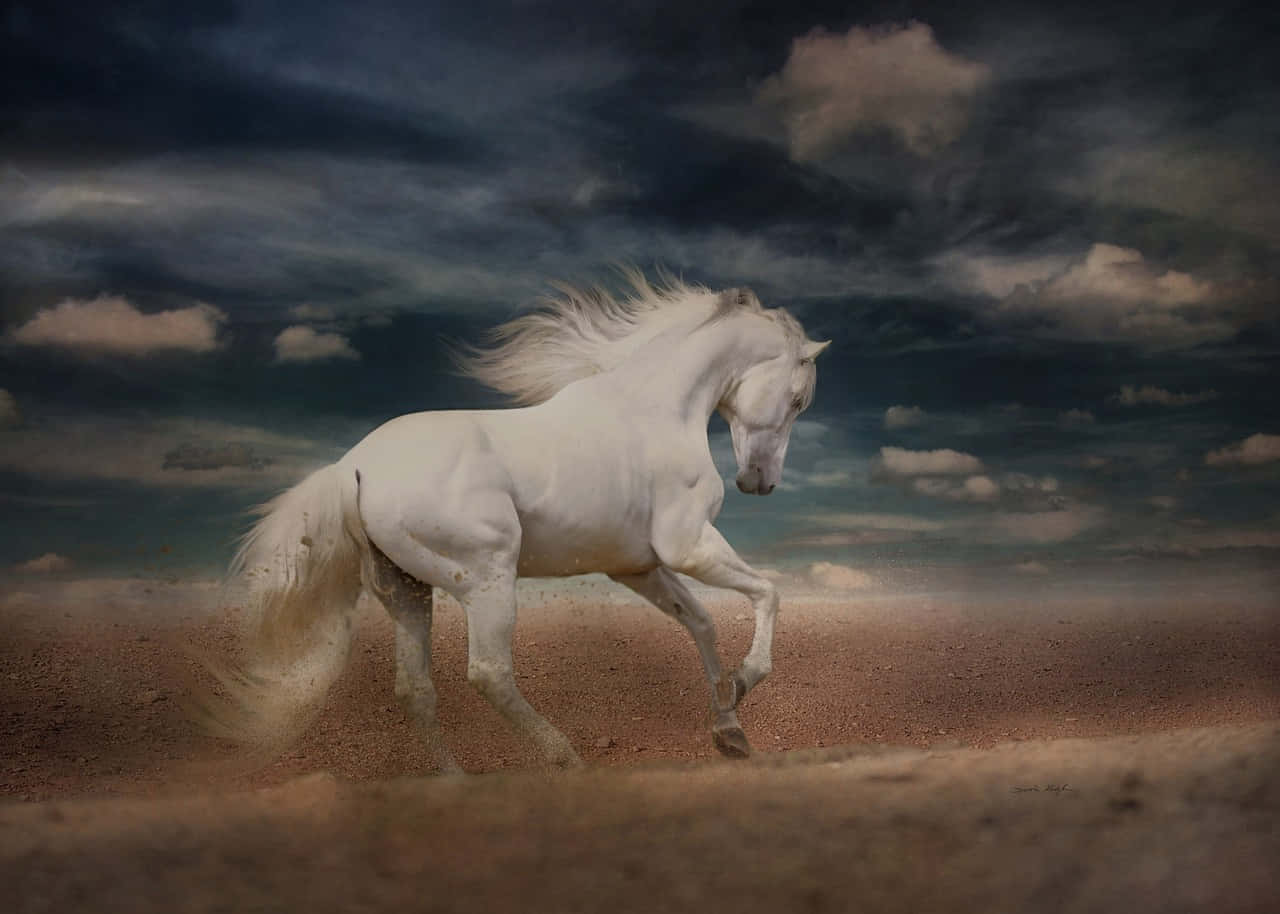 A White Horse Run In The Shore Wallpaper