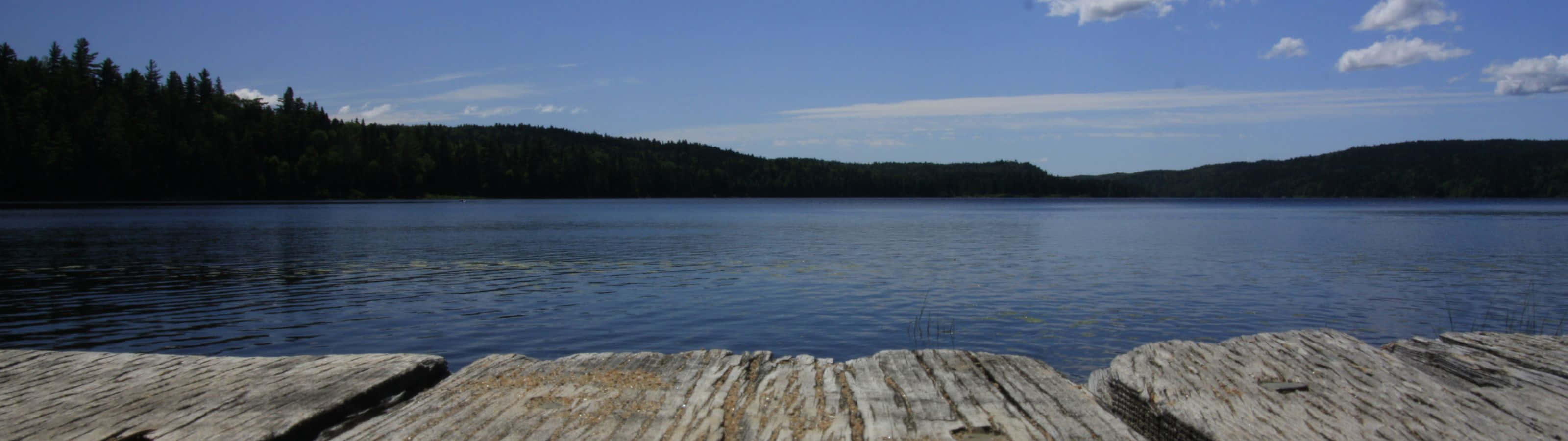 A Wooden Dock Is In The Middle Of A Lake Wallpaper