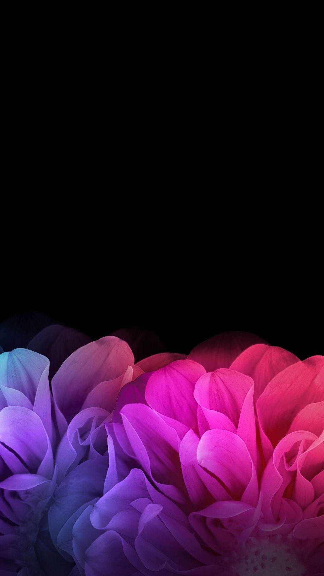 Abstract Petals Dark Purple And Black Wallpaper