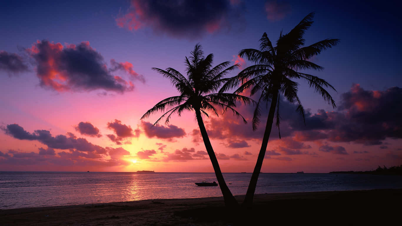 Admire The Beauty Of A Dreamy Beach Sunset. Wallpaper