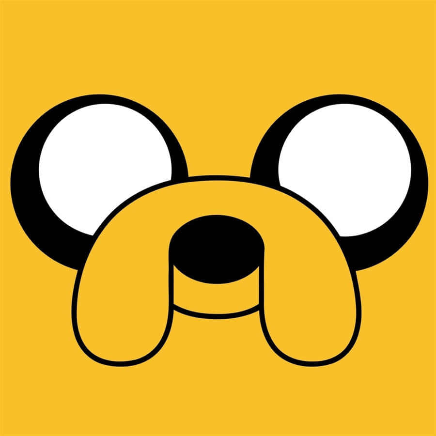 Adventure Time Jake Face Graphic Wallpaper