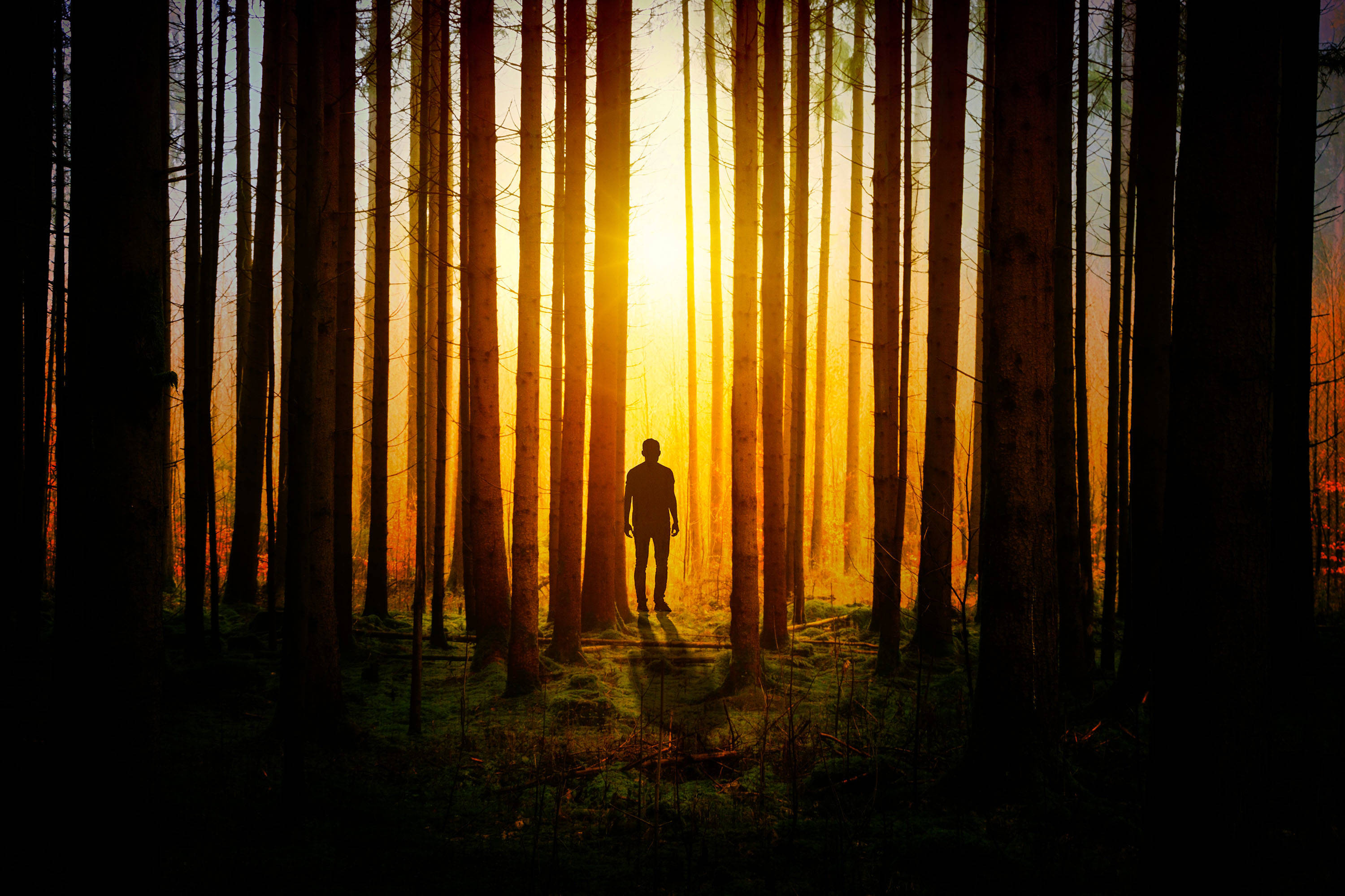 Adventurous Solitude - Man Using Phone In Wilderness Wallpaper