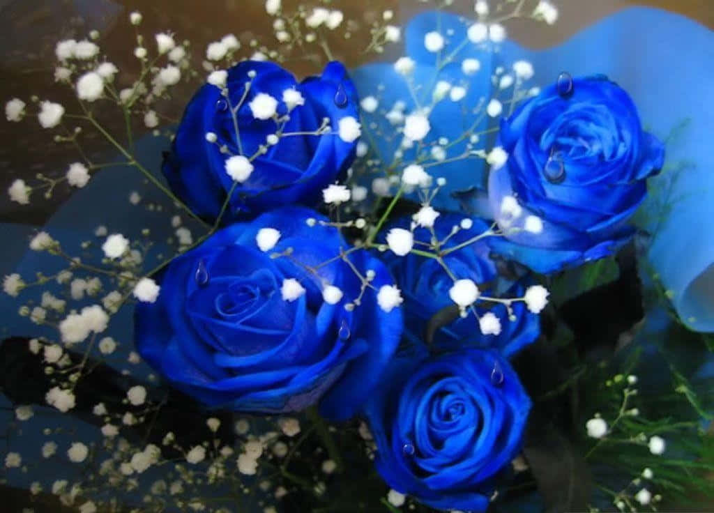 Aesthetic Blue Rose Wallpaper