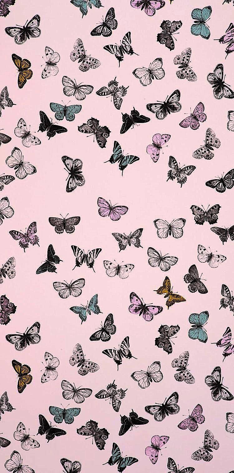 Aesthetic Butterflies Pattern Wallpaper