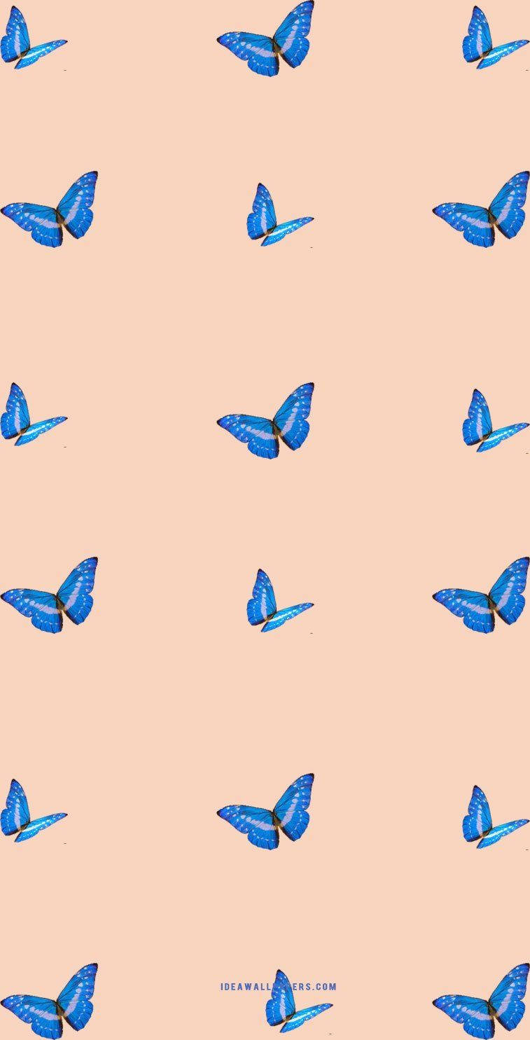 Aesthetic Butterfly Design For Iphone Wallpaper
