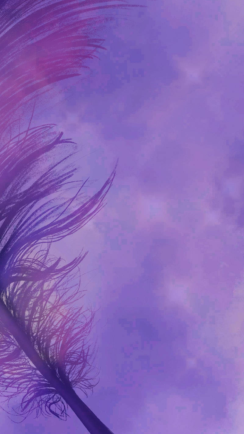 Aesthetic Feather Purple Iphone Wallpaper