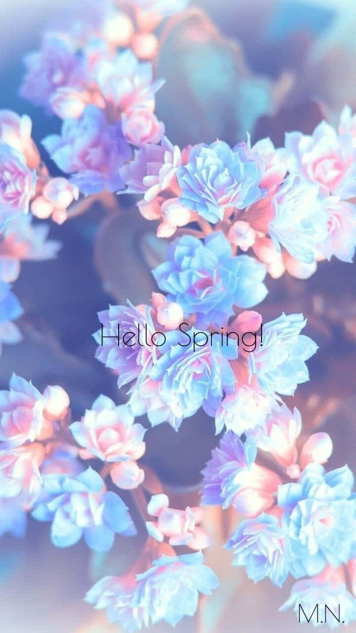 Aesthetic Floral Arrangement Wallpaper