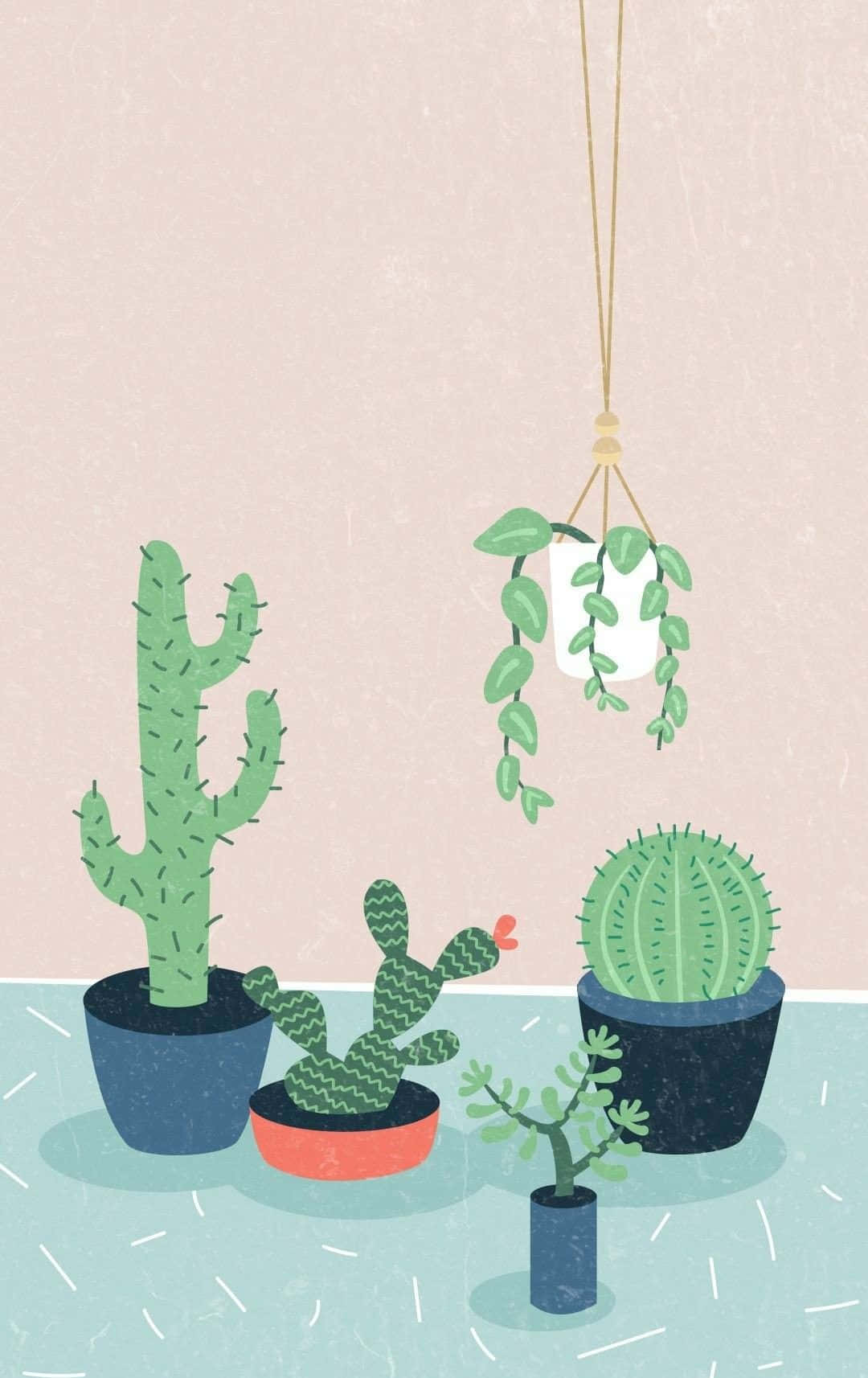 Aesthetic Green Cactus Wallpaper