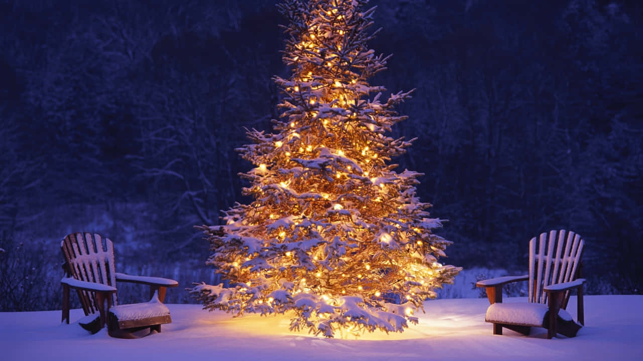 Aesthetic Holiday Tree, Decorated With Lights And Ornaments Wallpaper