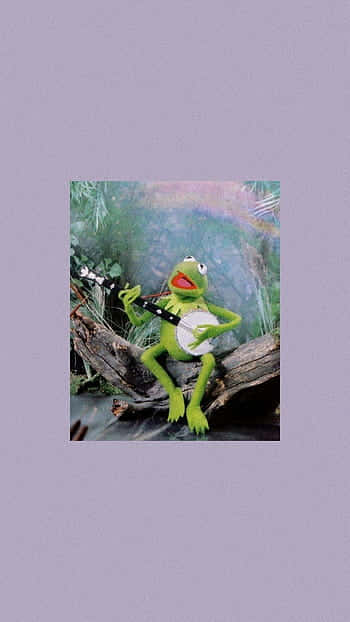 Aesthetic Kermit - Live Every Day To The Full Wallpaper