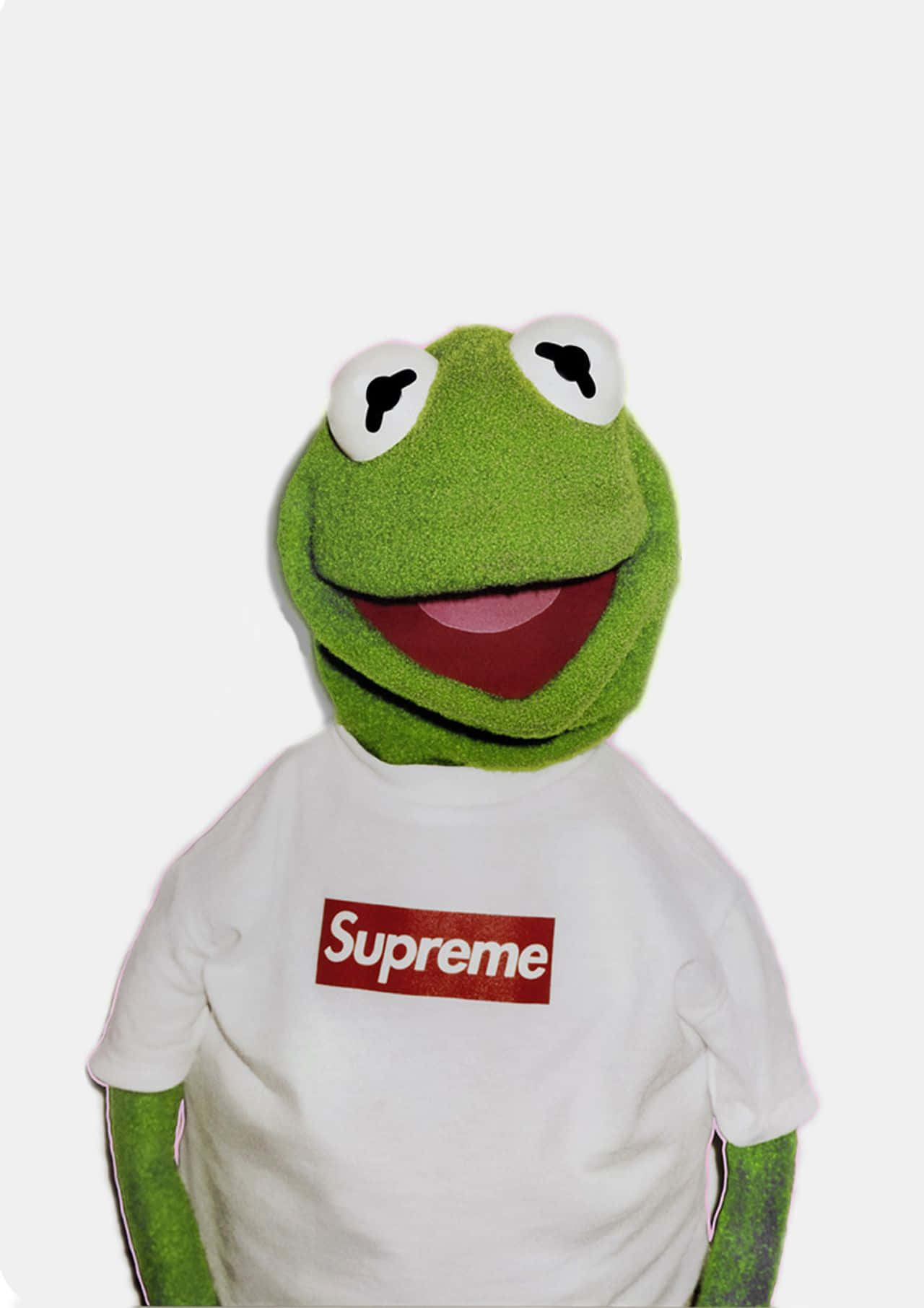 Aesthetic Kermit Wearing Supreme Wallpaper