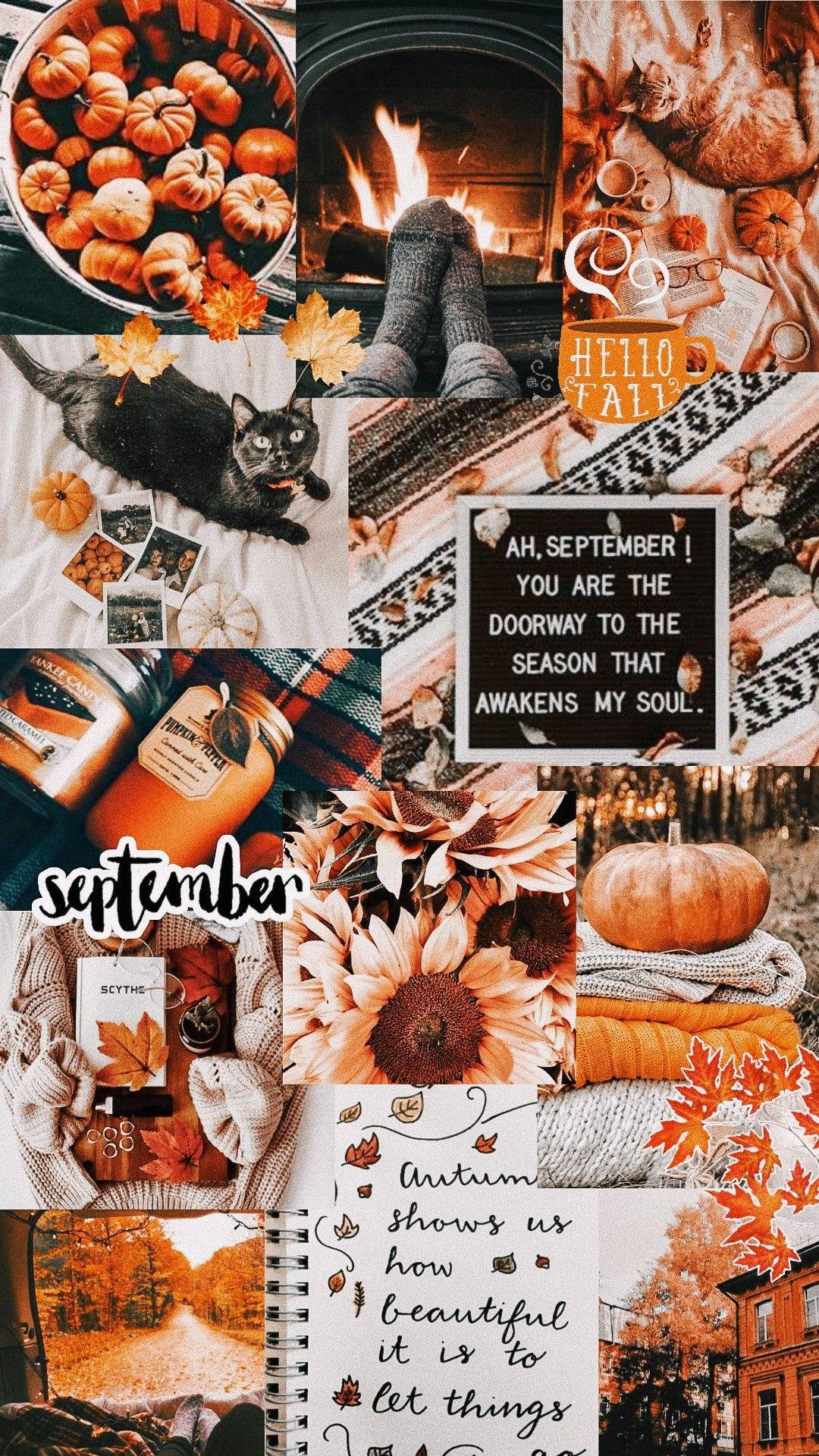 Download free Aesthetic Orange Fall Iphone Collage Wallpaper -  MrWallpaper.com