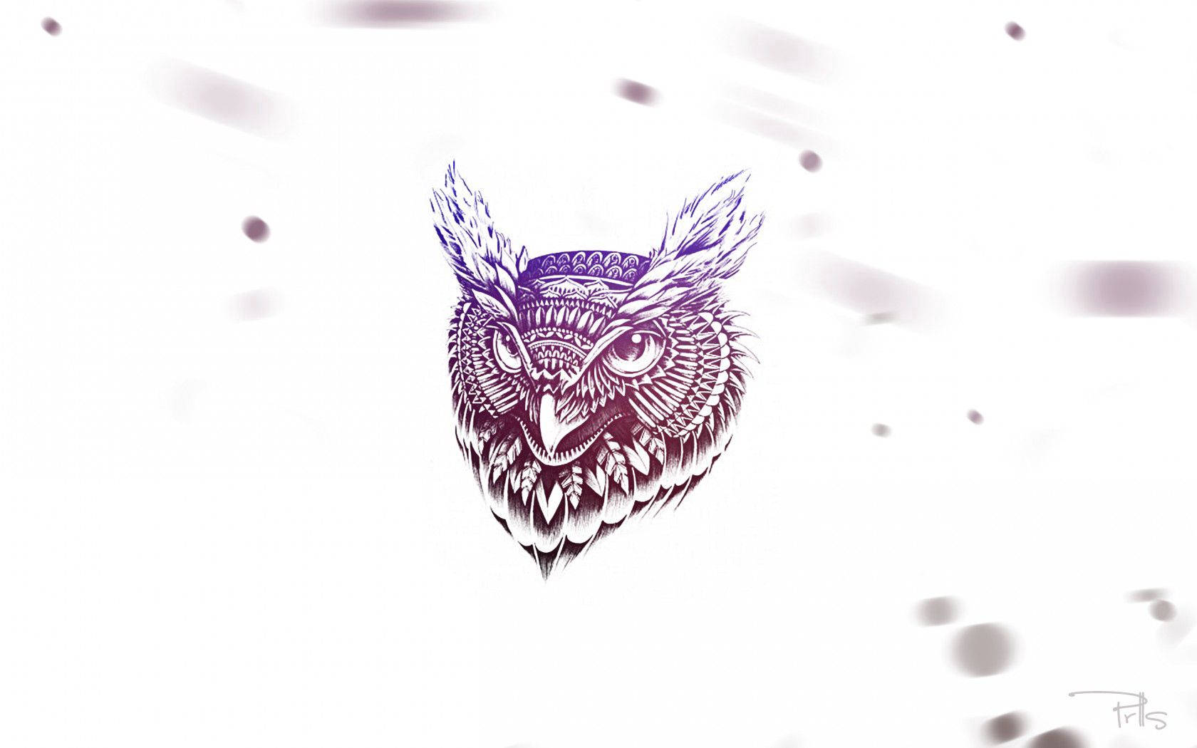 Aesthetic Owl Art Wallpaper