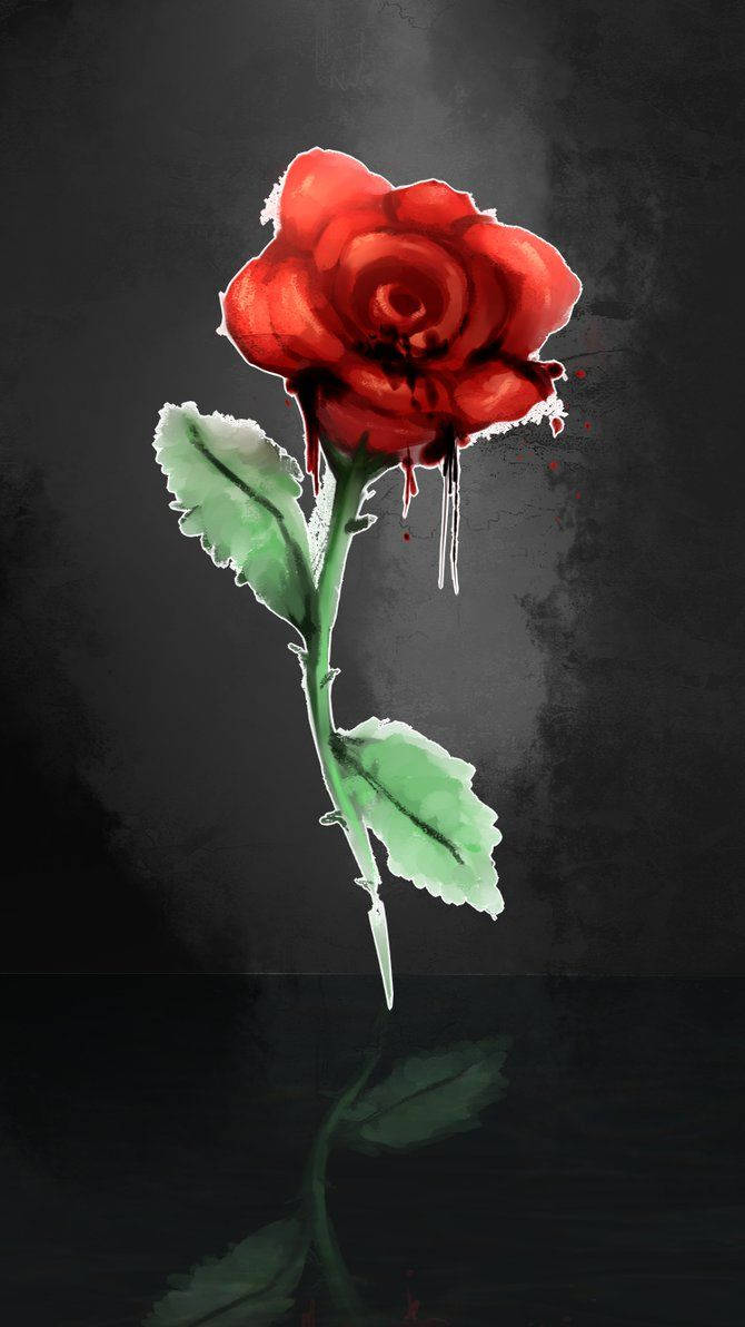 Aesthetic Red Rose Iphone Wallpaper