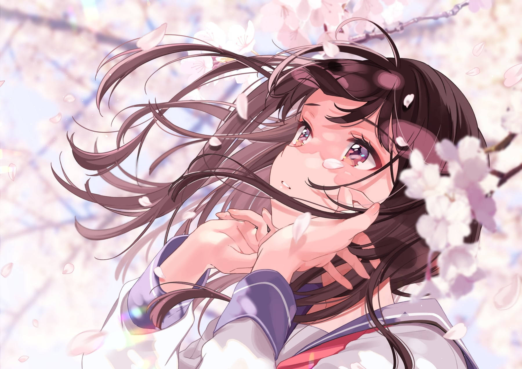 Aesthetic Sad Anime Girl Cherry Blossoms Wallpaper