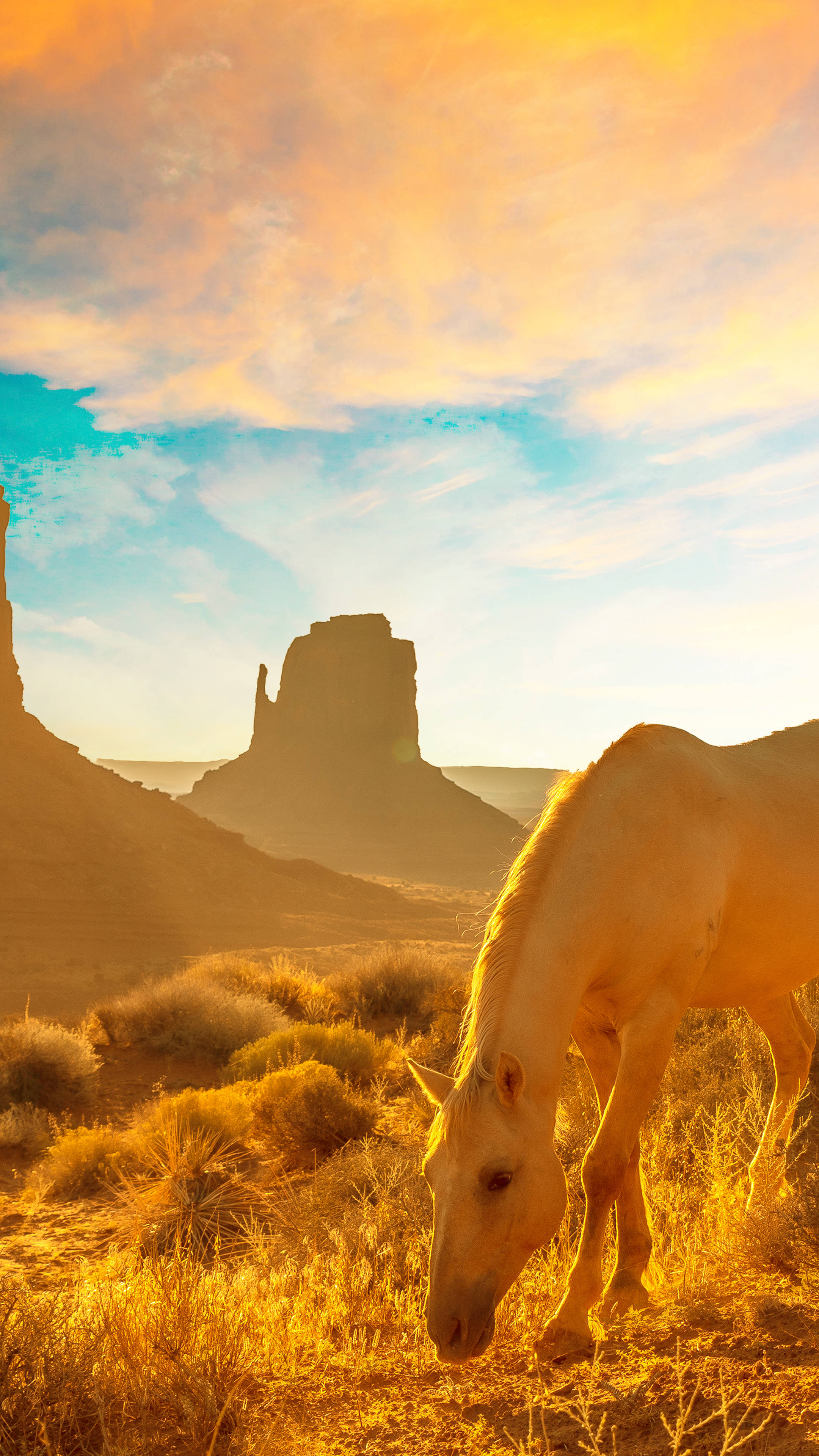 Aesthetic Wild Western Horse Wallpaper