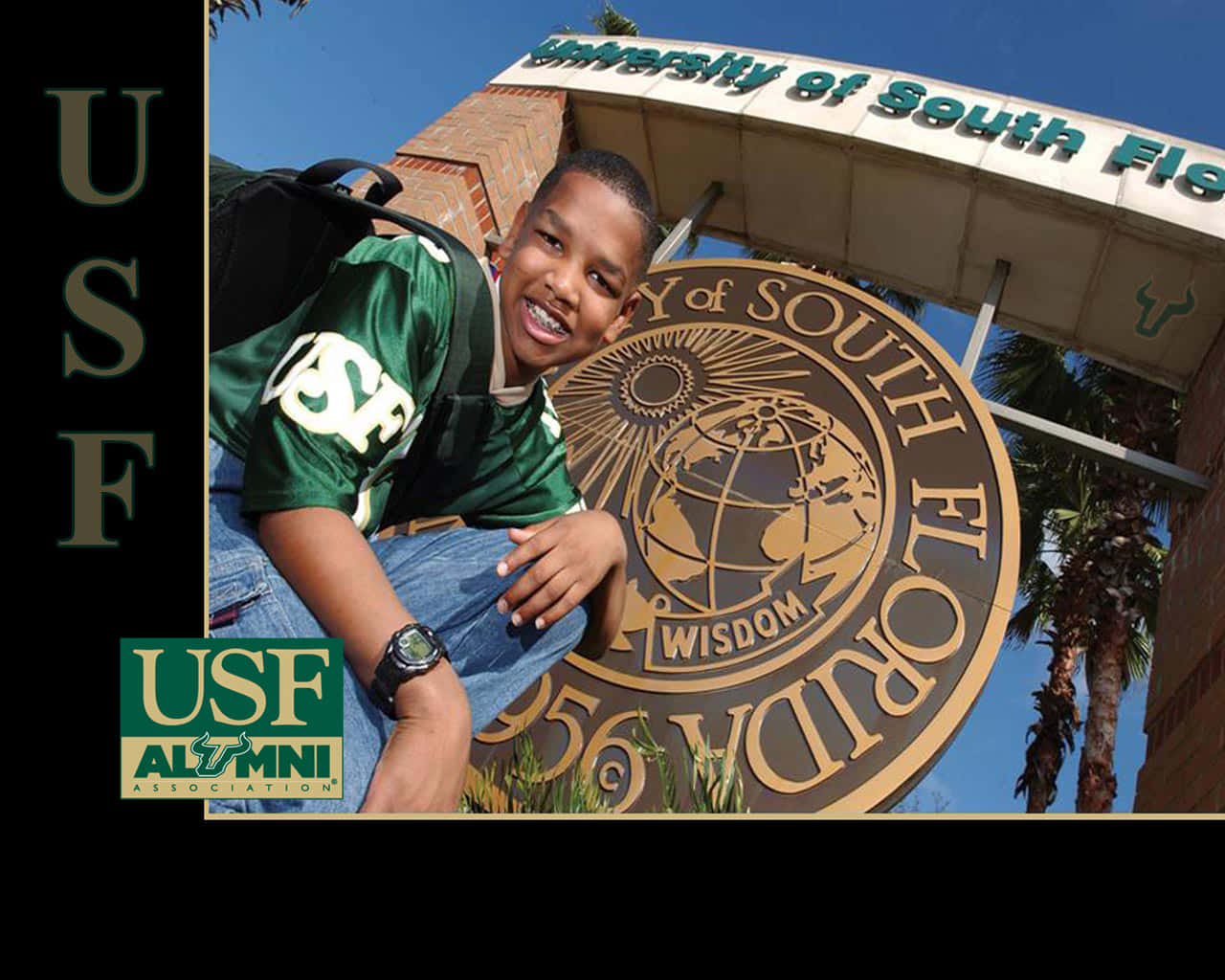 Alumni Student University Of South Florida Wallpaper