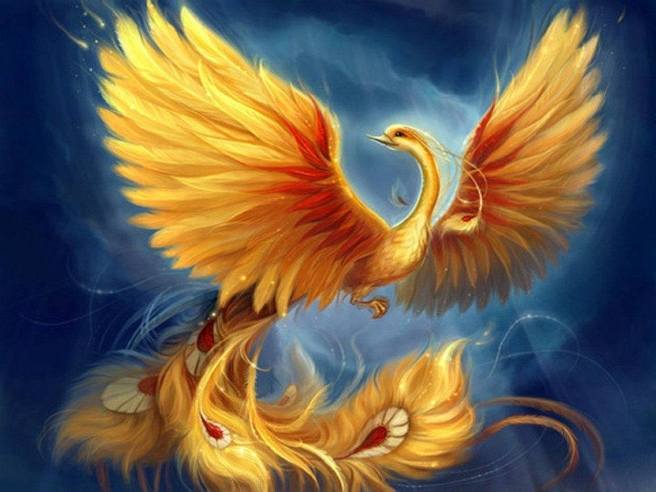 Amazing Phoenix Artwork Wallpaper