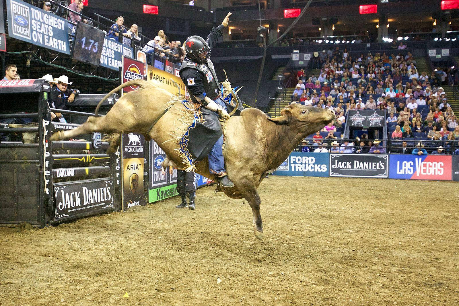 American Bull Riding Competition Wallpaper