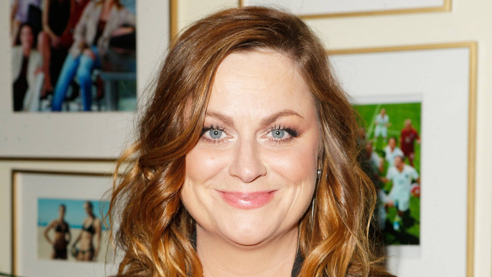 Amy Poehler, Renowned Television Actress And Producer Wallpaper