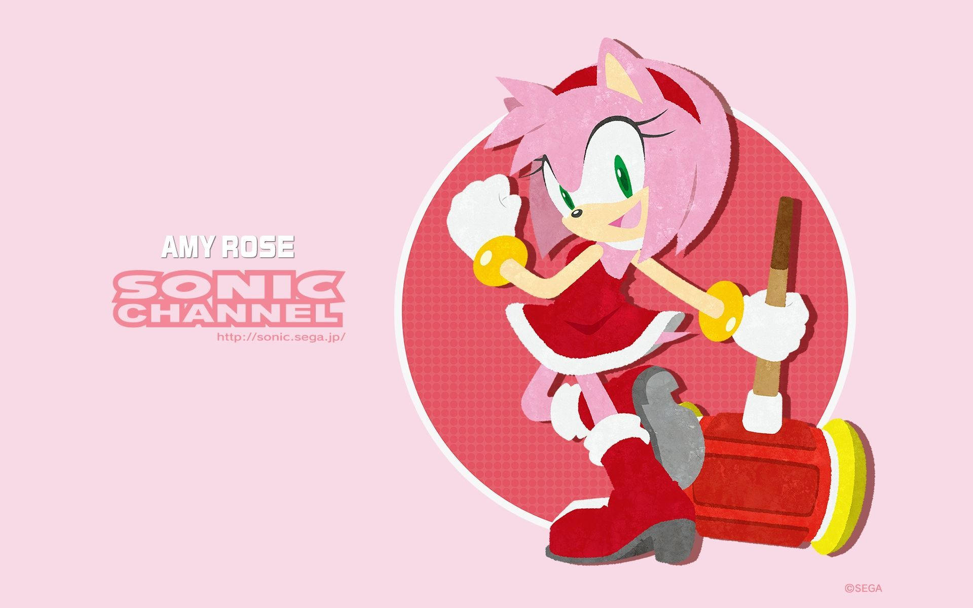 Amy Rose Wallpaper Sonic Amy Rose Wallpaper With A O Espaço Shuttle